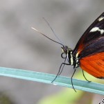 Burgers-Zoo_011
