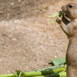 Hamburg Zoo 07