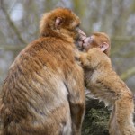 Dierenrijk Nuenen 05